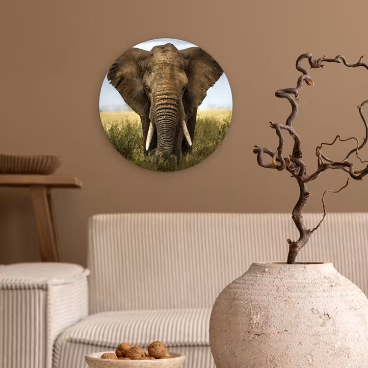 Muurcirkel - Olifant - Natuur - Gras - Dieren - Landschap — 2