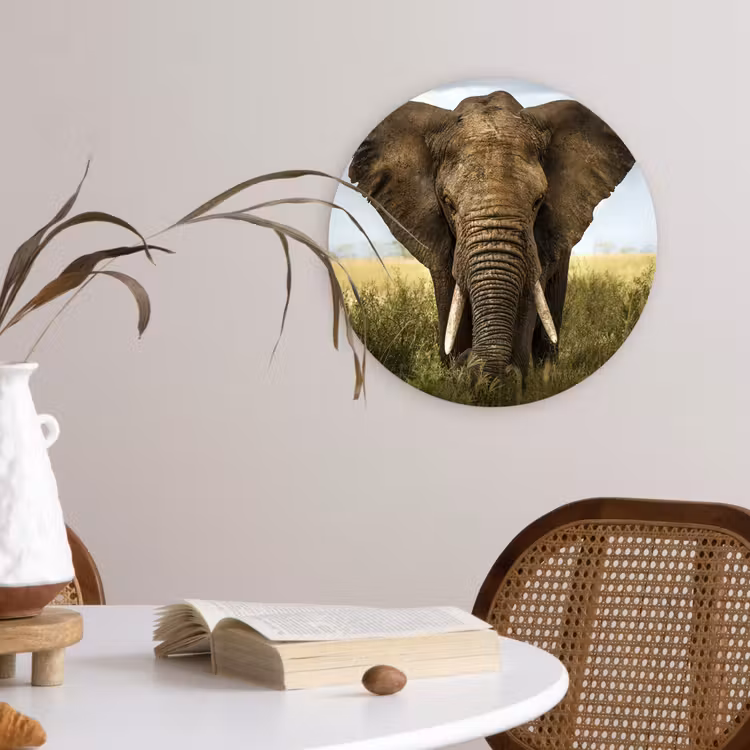 Muurcirkel - Olifant - Natuur - Gras - Dieren - Landschap — 4