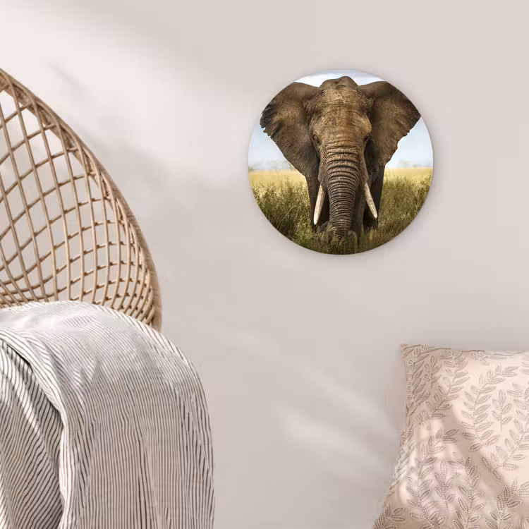 Muurcirkel - Olifant - Natuur - Gras - Dieren - Landschap — 5
