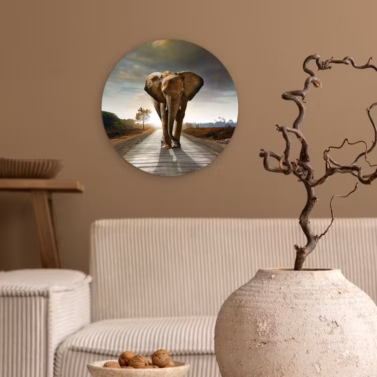 Muurcirkel - Olifant - Weg - Dieren - Zonsondergang - Landschap — 2