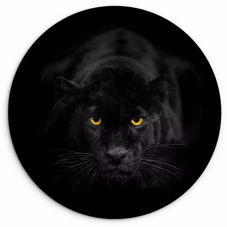 Muurcirkel - Panter - Dieren - Zwart - Ogen — 1