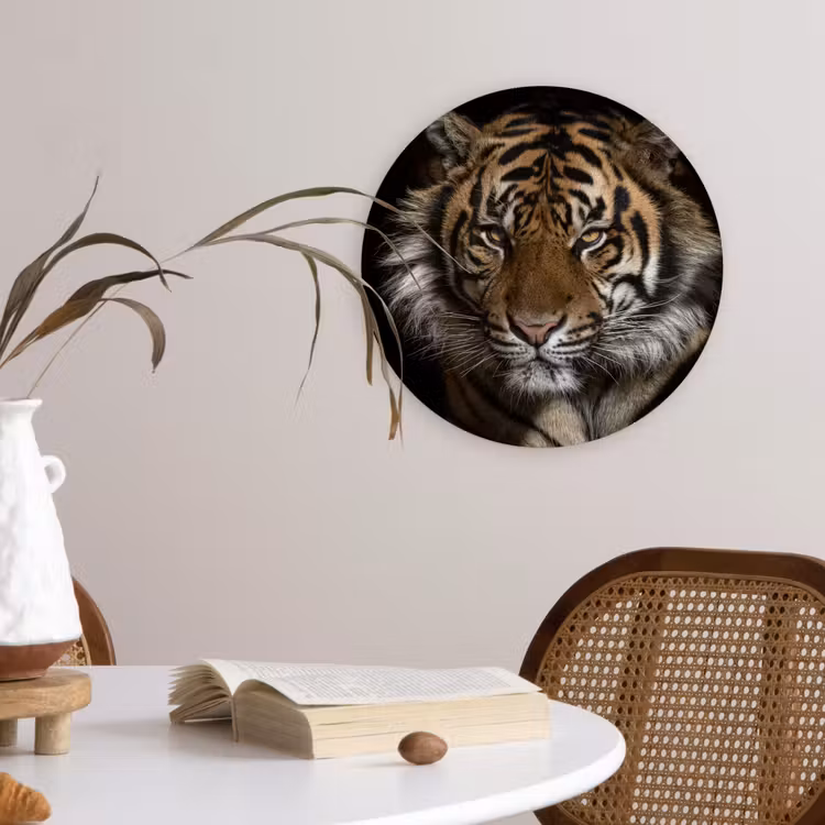Muurcirkel - Tijger - Wilde dieren - Portret — 4