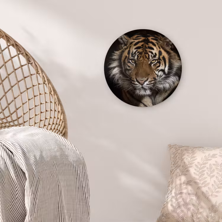 Muurcirkel - Tijger - Wilde dieren - Portret — 5