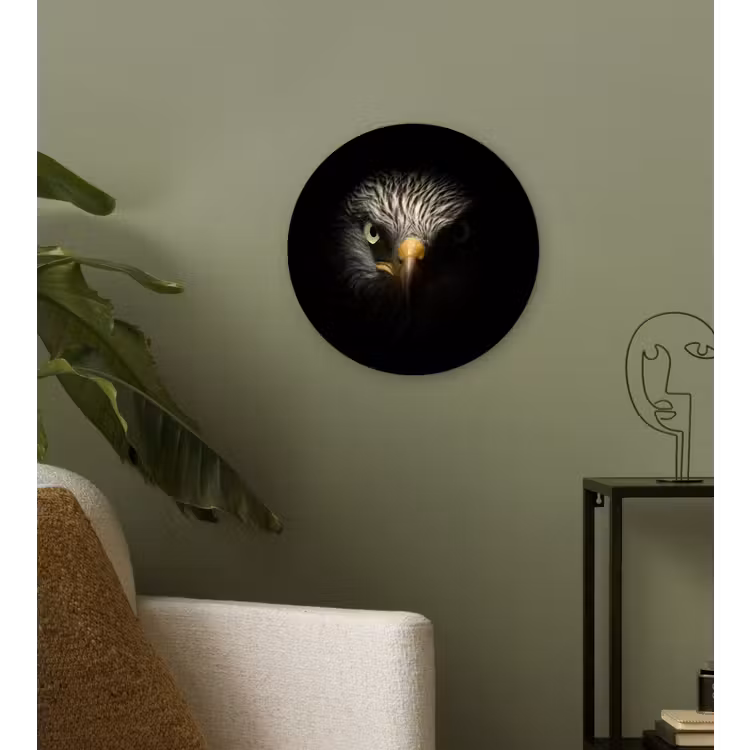 Muurcirkel - Vogel - Adelaar - Roofvogels - Oog - Snavel - Licht — 3
