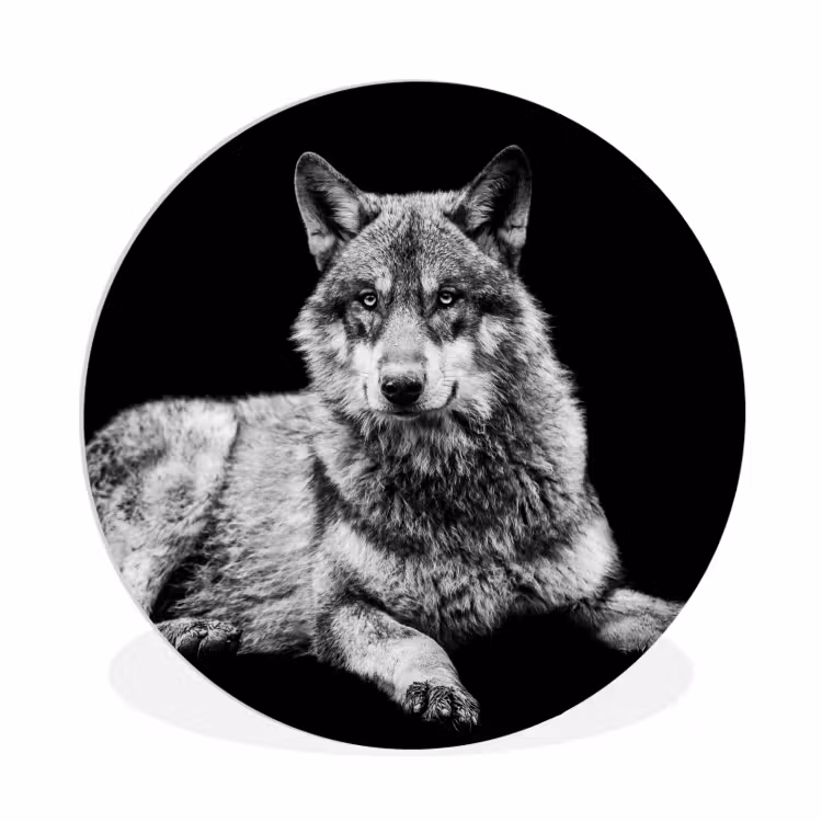 Muurcirkel - Wilde dieren - Wolf - Zwart - Wit — 1