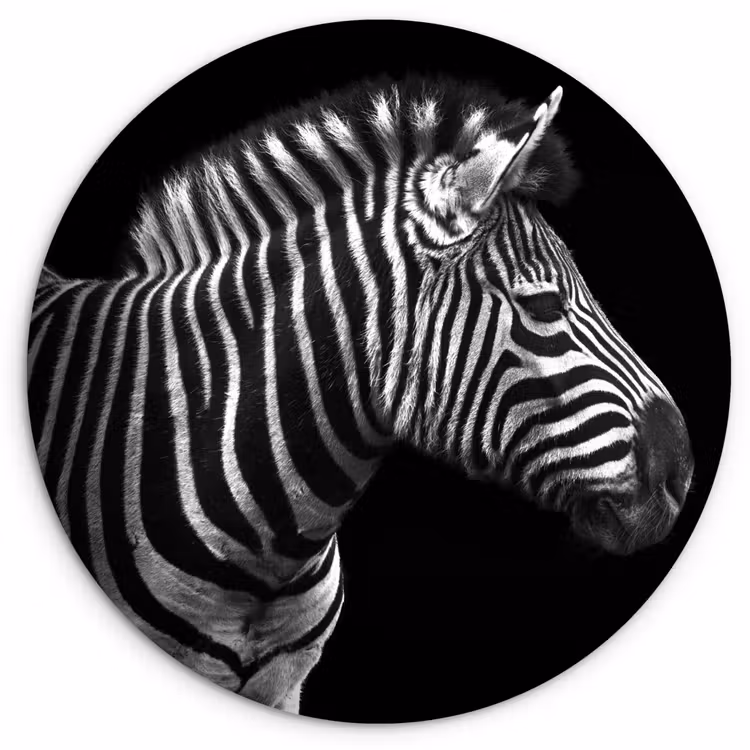 Muurcirkel - Zebra - Zwart - Wit - Portret - Dieren — 1