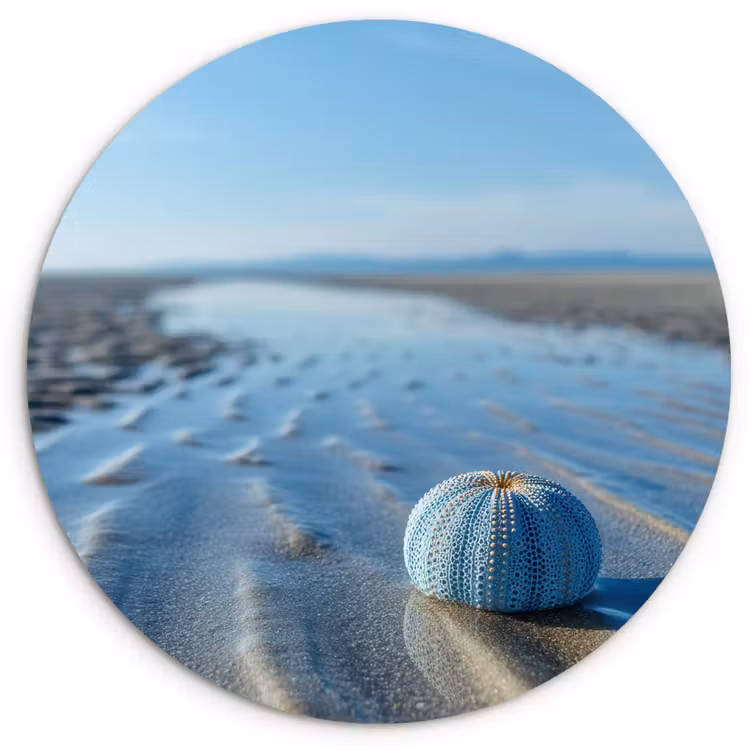 Muurcirkel - Strand - Schild - Water - Blauw — 1