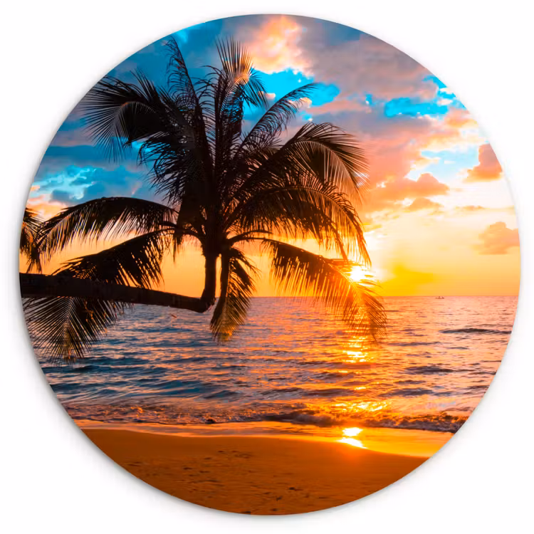 Muurcirkel - Palm - Zonsondergang - Horizon - Strand - Zee - Tropisch — 1