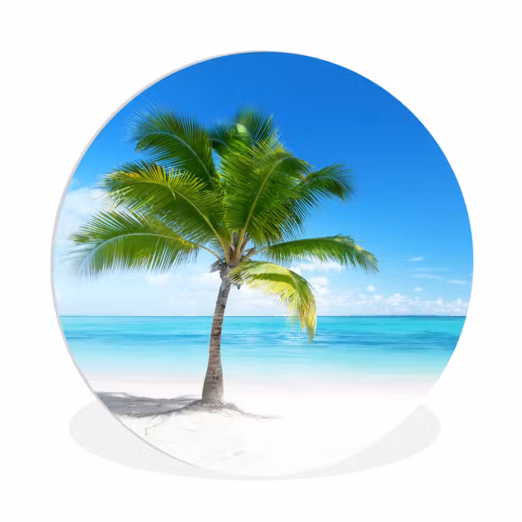 Muurcirkel - Palmboom - Strand - Zee - Zomer — 1