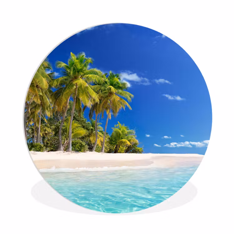 Muurcirkel - Strand - Zee - Palmboom - Zon - Zomer — 1