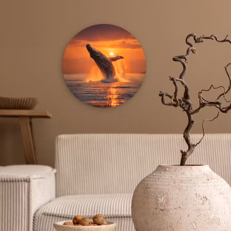 Muurcirkel - Walvis - Zon - Zee — 2