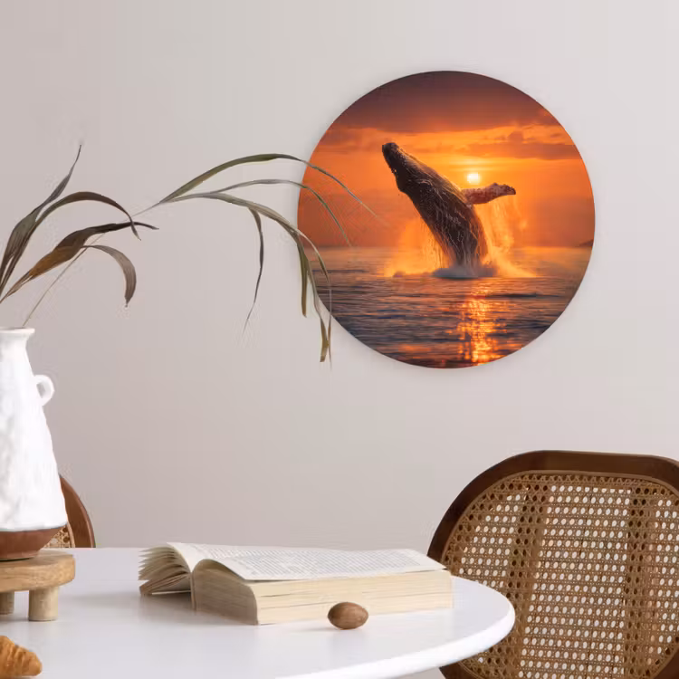 Muurcirkel - Walvis - Zon - Zee — 4