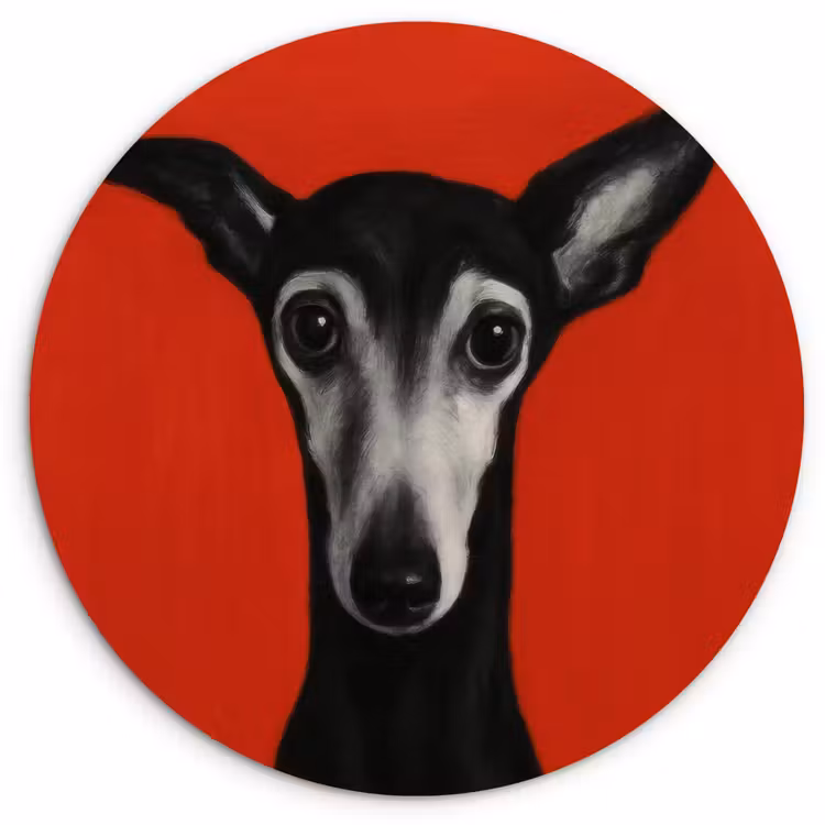 Muurcirkel - Windhond - Minimalistisch - Rood — 1