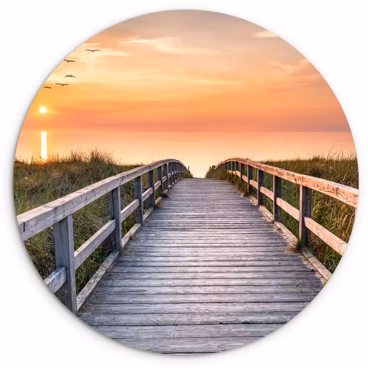 Muurcirkel - Zonsonderang - Zee - Pad - Gras - Duin - Vogels — 1