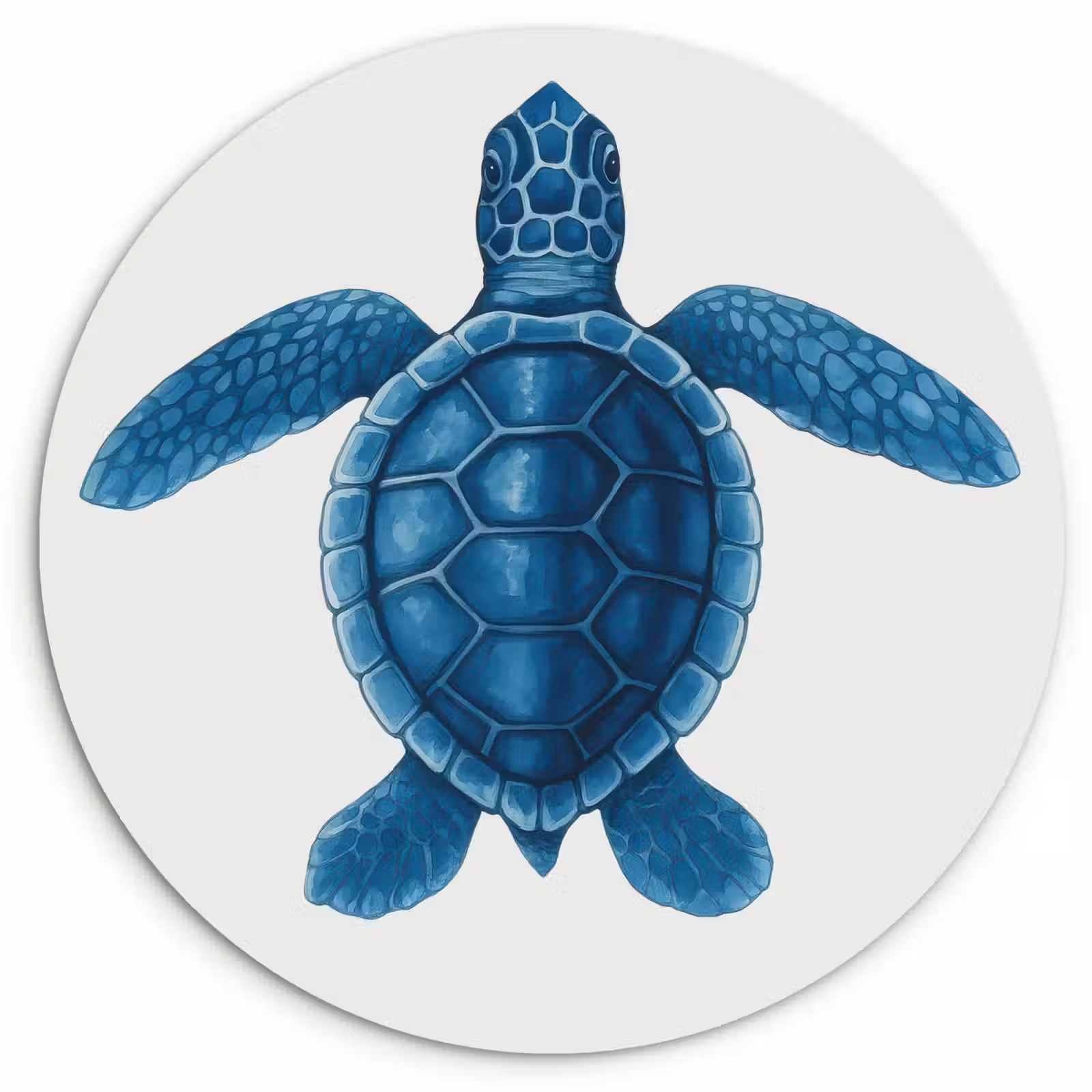 Muurcirkel - Schildpad - Blauw - Schild — 1