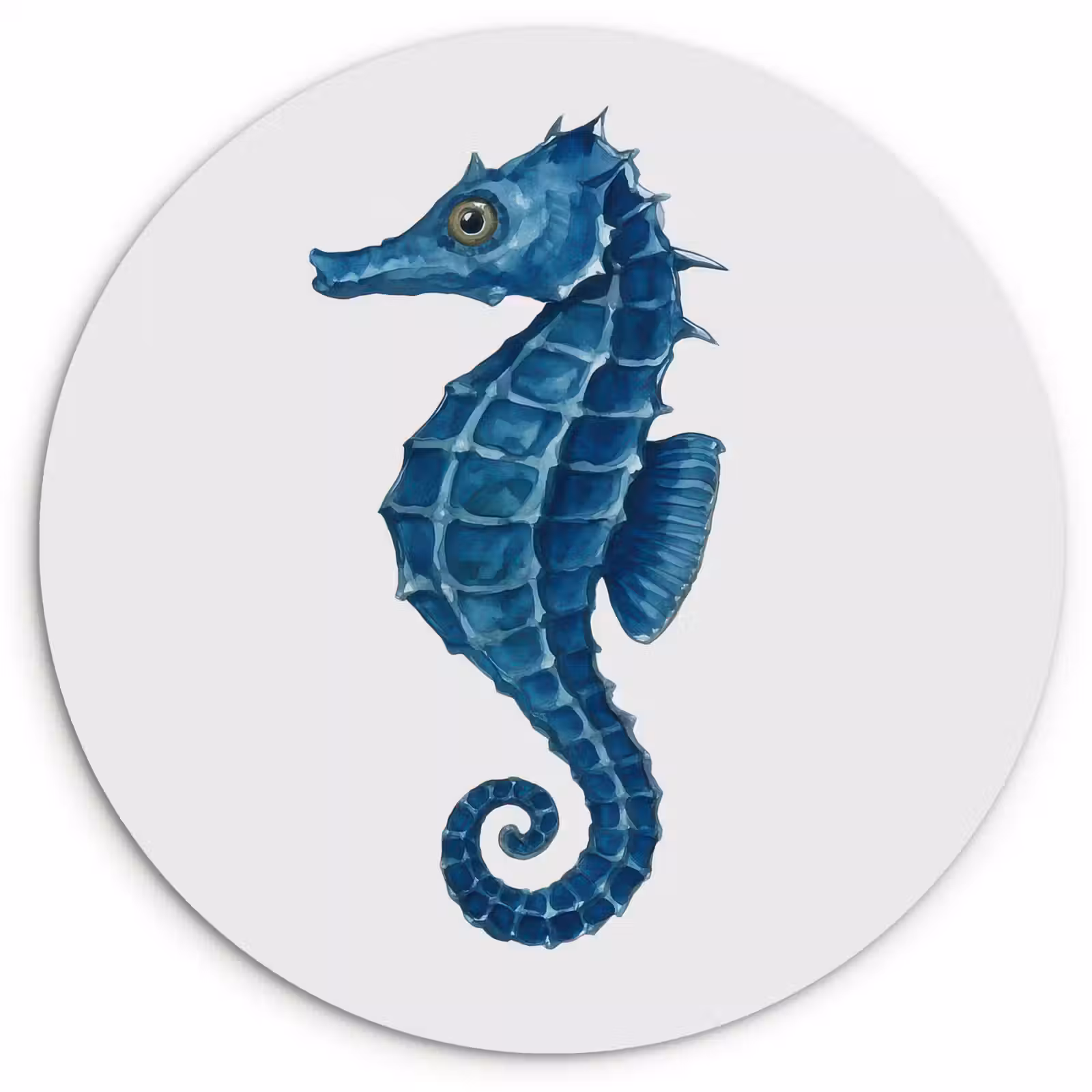 Muurcirkel - Zeepaardje - Staart - Blauw — 1
