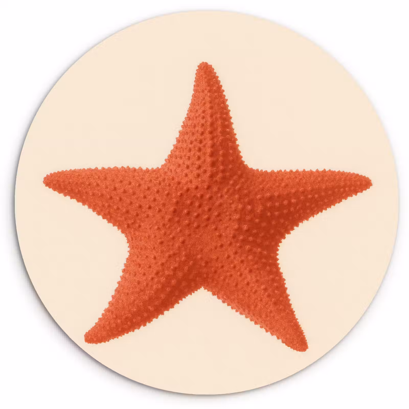 Muurcirkel - Zeester - Bobbels - Rood — 1