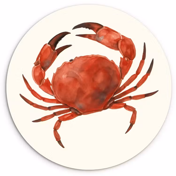 Muurcirkel - Krab - Felrood - Poten — 1