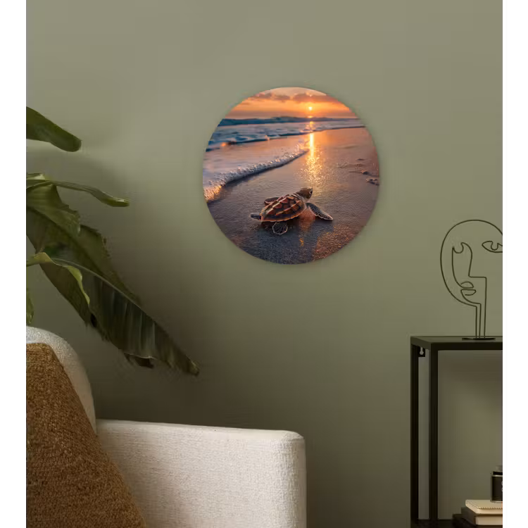 Muurcirkel - Schildpad - strand - Zonsondergang — 3