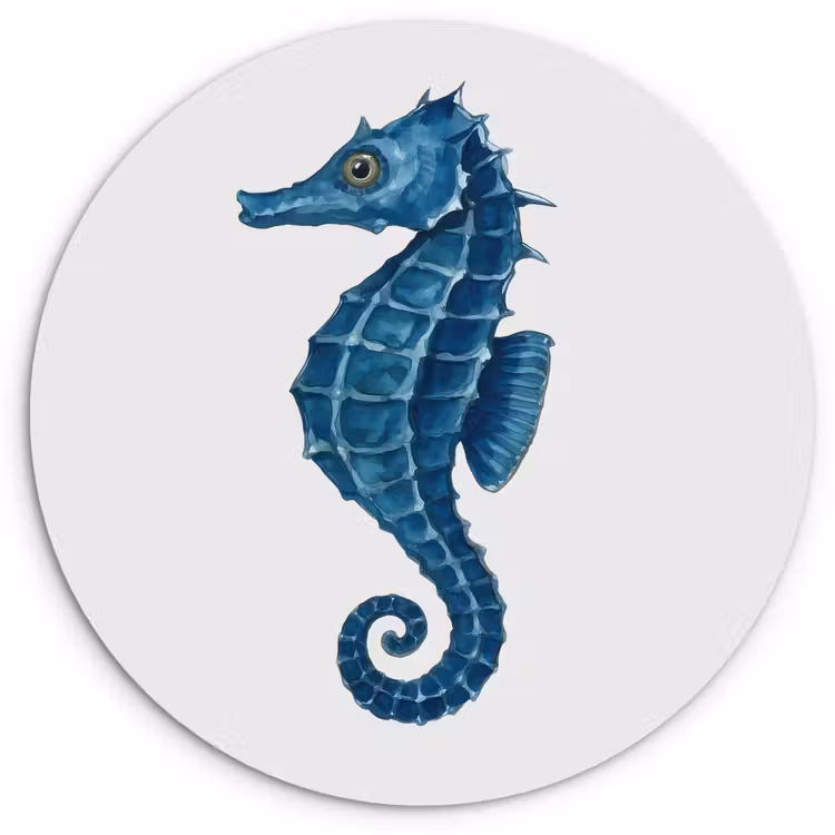 Muurcirkel - Zeepaardje - Staart - Blauw — 1