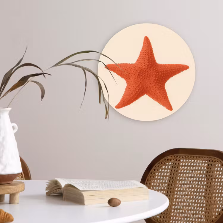 Muurcirkel - Zeester - Bobbels - Rood — 4