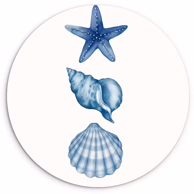 Muurcirkel - Zeester - Schelpen - Blauw — 1