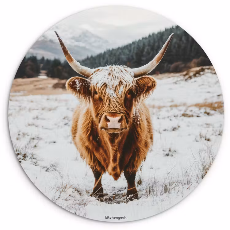 Muurcirkel - Schotse Hooglander - Sneeuw - Winter - Dieren — 1