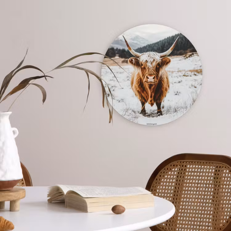 Muurcirkel - Schotse Hooglander - Sneeuw - Winter - Dieren — 4