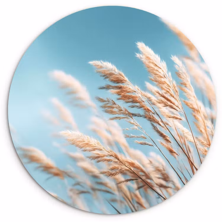 Muurcirkel - Siergras - Wind - Lichtbruin — 1