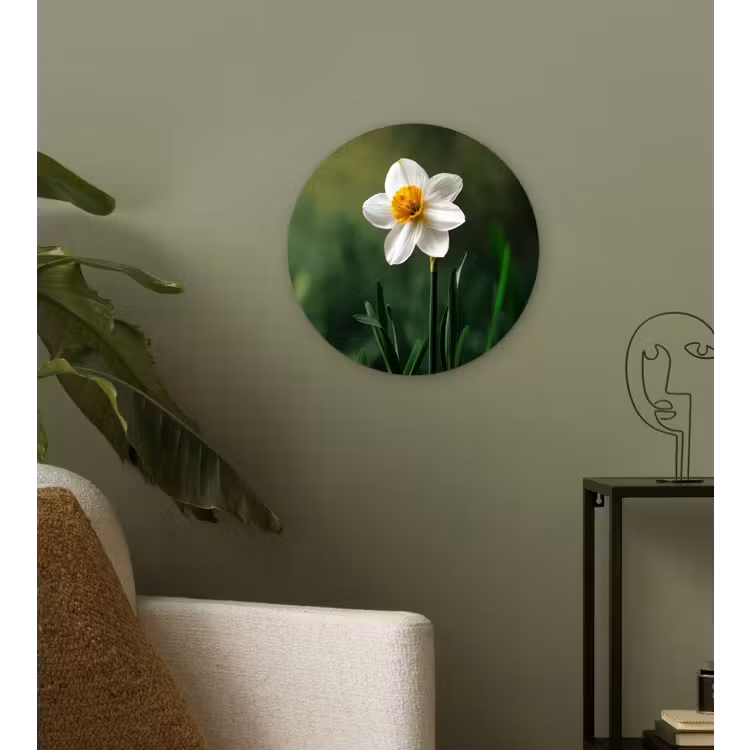 Muurcirkel - Narcis - Bloem - Wit - Grassprieten — 3