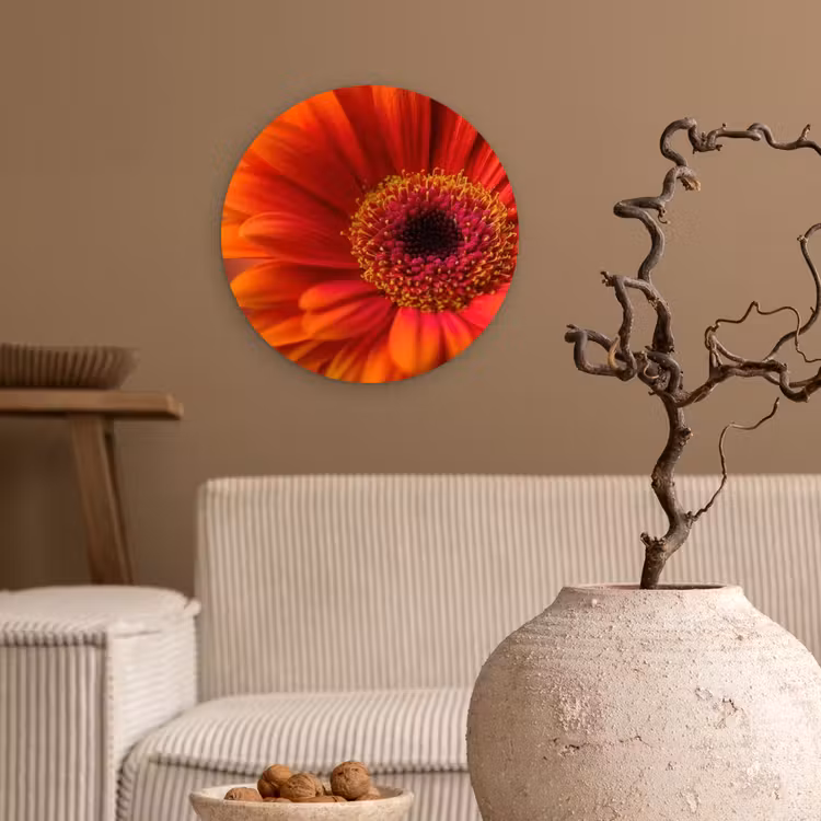 Muurcirkel - Oranje - Gerbera - Intens — 2