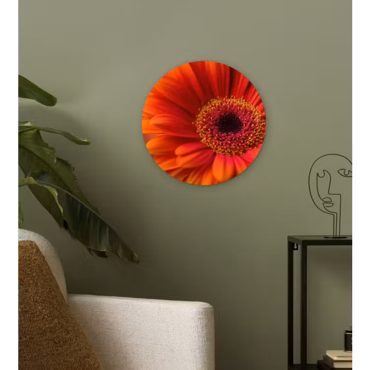 Muurcirkel - Oranje - Gerbera - Intens — 3
