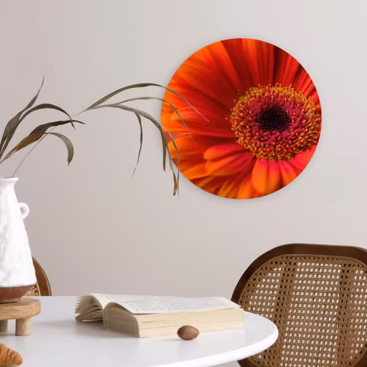 Muurcirkel - Oranje - Gerbera - Intens — 4