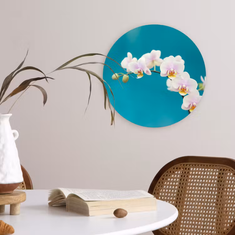 Muurcirkel - Orchidee - Bloemen - Plant - Wit - Paars — 4