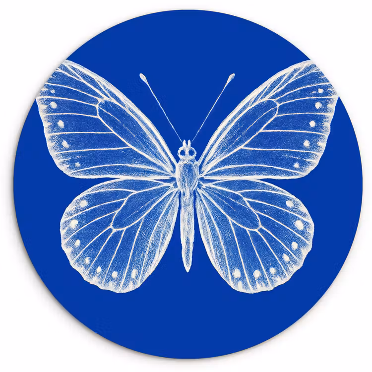 Muurcirkel - Vlinder - Wit - Getekend - Stippen — 1