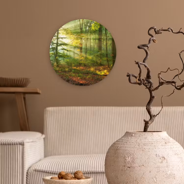 Muurcirkel - Zon - Bos - Bomen - Natuur - Herfst — 2