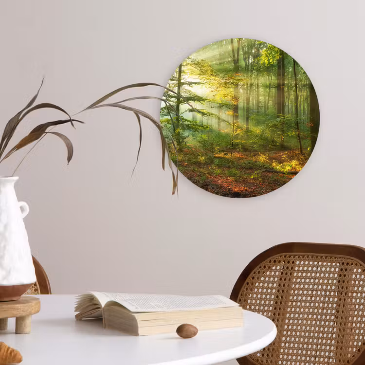 Muurcirkel - Zon - Bos - Bomen - Natuur - Herfst — 4