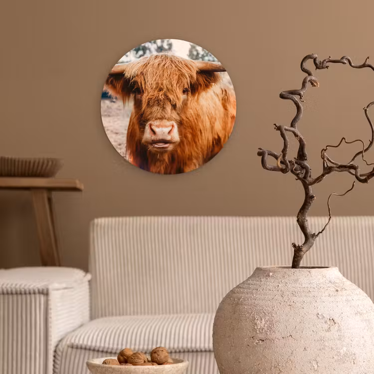Muurcirkel - Koe- Schotse hooglander - Hoorns - Bruin - Landschap — 2