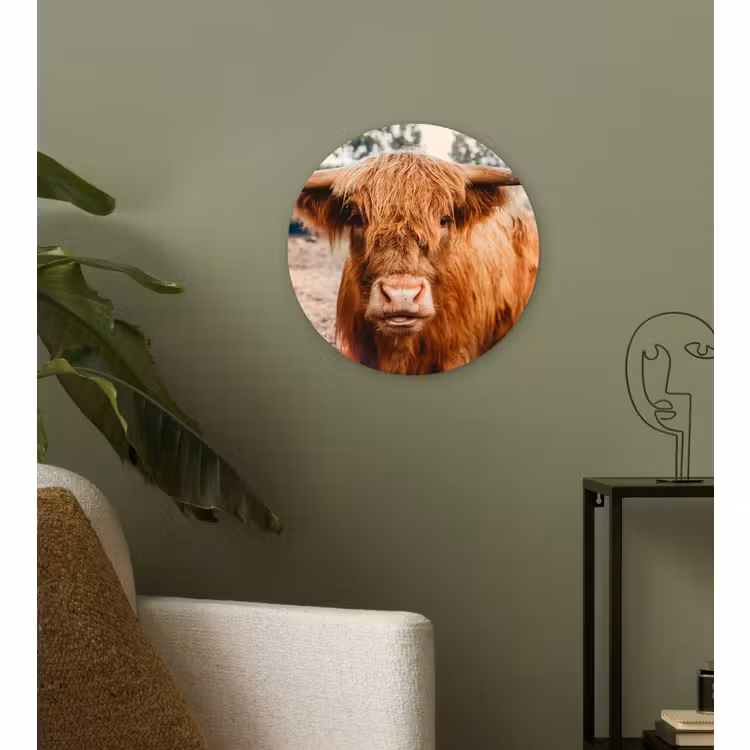 Muurcirkel - Koe- Schotse hooglander - Hoorns - Bruin - Landschap — 3