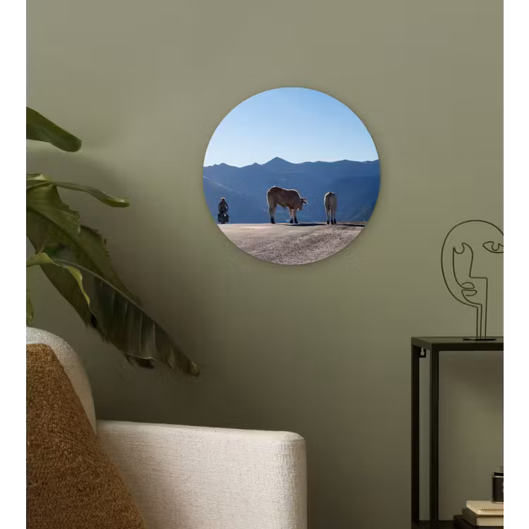 Muurcirkel - Schotse hooglander - Licht - Berg - Natuur — 3