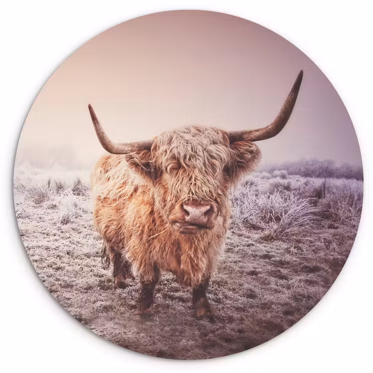 Muurcirkel - Schotse hooglanders - Licht - Lucht - Natuur — 1