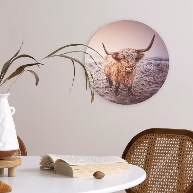 Muurcirkel - Schotse hooglanders - Licht - Lucht - Natuur — 4