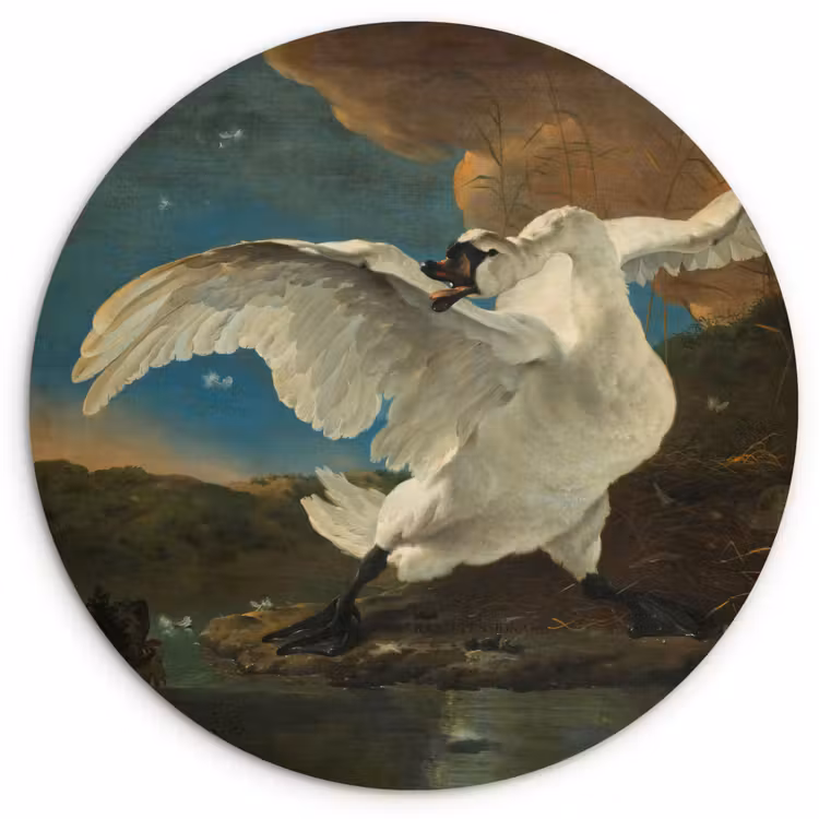 Muurcirkel - Zwaan - Oude meesters - Jan Asselijn — 1