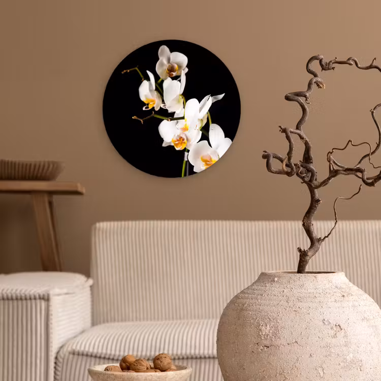Muurcirkel - Orchidee - Bloemen - Planten - Botanisch — 2