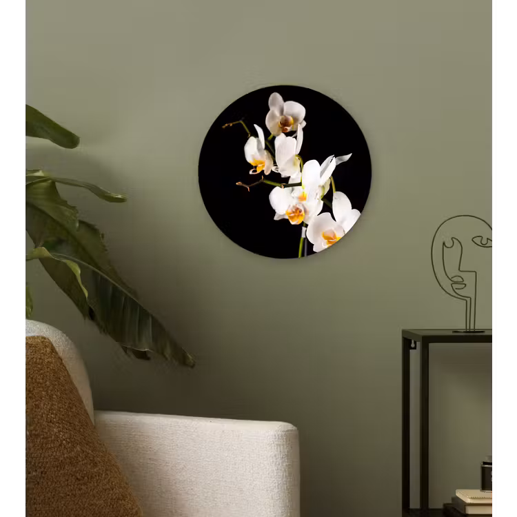 Muurcirkel - Orchidee - Bloemen - Planten - Botanisch — 3