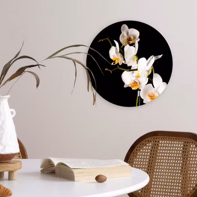 Muurcirkel - Orchidee - Bloemen - Planten - Botanisch — 4