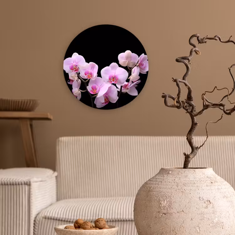 Muurcirkel - Orchidee - Bloemen - Roze - Flora — 2