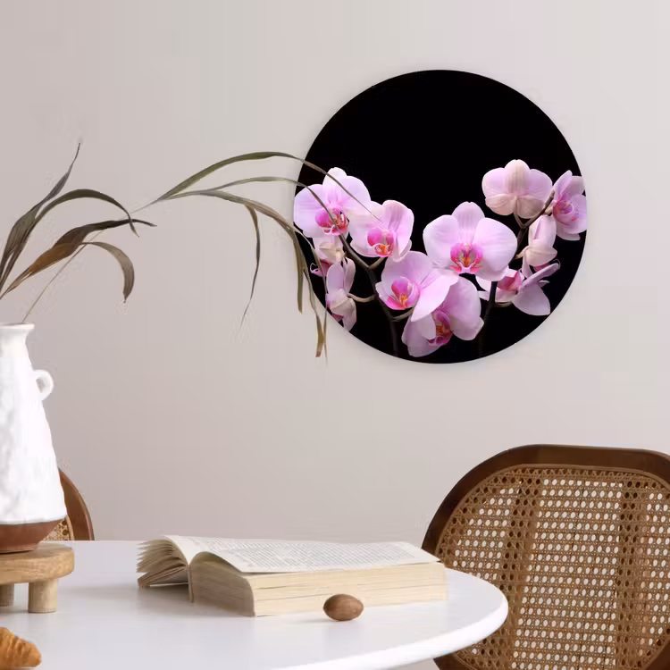 Muurcirkel - Orchidee - Bloemen - Roze - Flora — 4