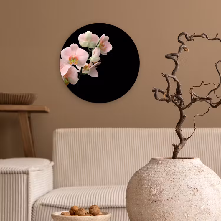 Muurcirkel - Orchidee - Bloemen - Roze - Stilleven - Flora — 2
