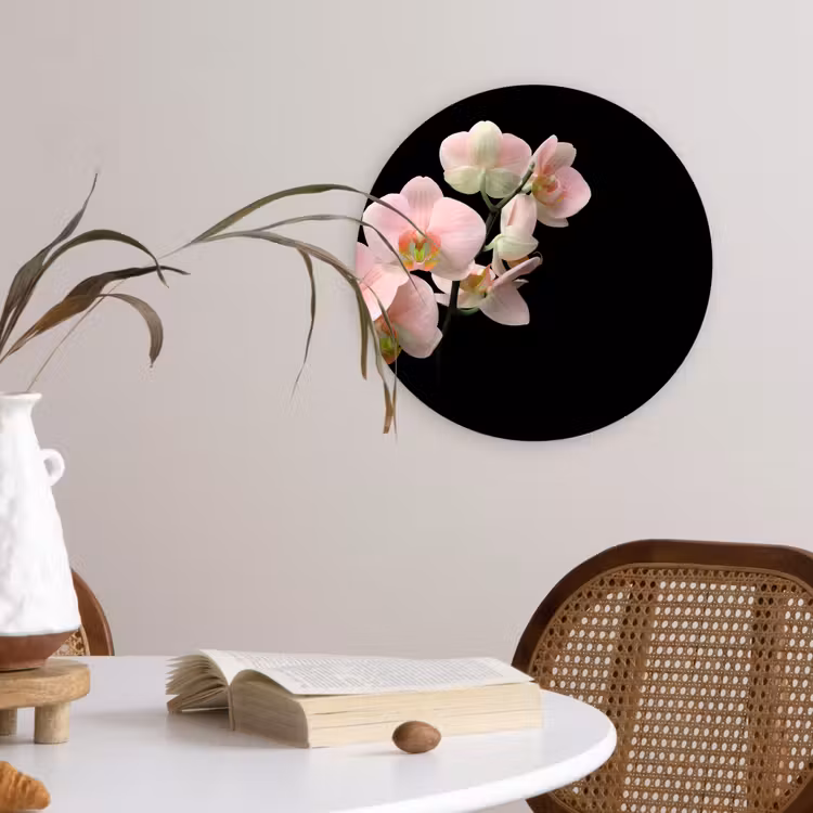 Muurcirkel - Orchidee - Bloemen - Roze - Stilleven - Flora — 4